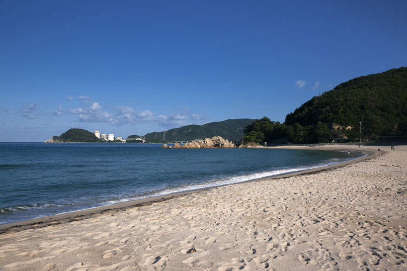 无人,横图,室外,白天,正面,旅游,度假,海浪,海洋,美景,沙滩,山,树林,植物,日本,亚洲,阴影,光线,沙子,影子,海岸,景观,浪花,山峰,地面,沙地,山峦,娱乐,树,树木,蓝色,绿色,蓝天,天空,阳光,自然,海水,天,享受,休闲,景色,放松,生长,成长,自然风光,海景,东亚,本州,本州岛,日本国,中部地方,福井,福井县,大海,风浪,海,海水的波动,海滩,近岸浪,涌浪,彩图