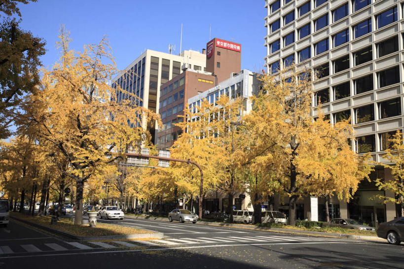 无人,高楼大厦,横图,室外,白天,正面,旅游,度假,秋季,植物,大厦,建筑,摩天大楼,人行横道,汽车,日本,亚洲,许多,阴影,光线,影子,娱乐,车,树,树木,黄色,蓝色,绿色,蓝天,天空,阳光,自然,交通工具,轿车,天,行驶,享受,休闲,放松,大阪,生长,成长,人行横道线,东亚,本州,大阪府,本州岛,日本国,近畿地方,近畿,秋,秋天,斑马线,彩图,大楼,高层建筑,高楼,摩天楼