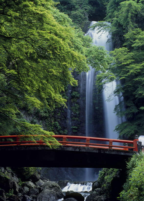 无人,竖图,室外,白天,正面,旅游,度假,石头,美景,瀑布,树林,水,植物,日本,亚洲,飞溅,溅,木板,石子,液体,景观,桥,木桥,娱乐,栈桥,树,树木,绿色,自然,享受,休闲,石壁,景色,放松,大阪,生长,成长,人行桥,木板桥,喷洒,自然风光,东亚,本州,大阪府,本州岛,日本国,近畿地方,近畿,跌水,石块,岩石,彩图