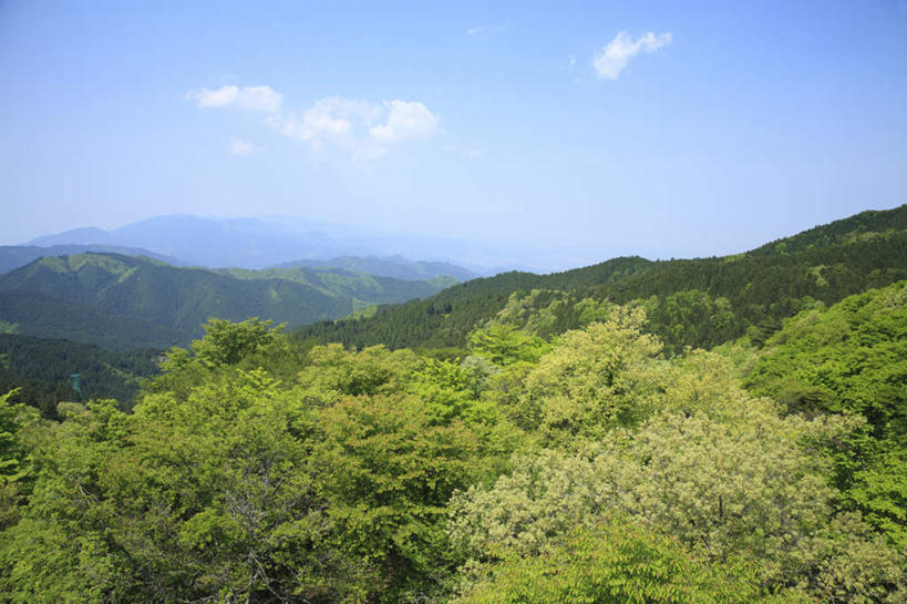 无人,横图,俯视,航拍,室外,白天,旅游,度假,美景,山,山脉,树林,植物,日本,亚洲,阴影,光线,影子,景观,山峰,云,云朵,山峦,云彩,娱乐,树,树木,蓝色,绿色,白云,蓝天,天空,阳光,自然,群山,天,享受,休闲,景色,放松,大阪,生长,成长,鸟瞰,自然风光,东亚,本州,大阪府,本州岛,日本国,近畿地方,近畿,彩图,高角度拍摄