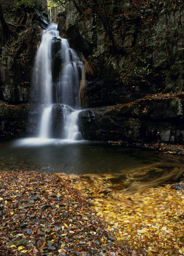 无人,竖图,室外,白天,仰视,旅游,度假,石头,美景,瀑布,山,树林,水,植物,日本,亚洲,飞溅,溅,石子,液体,池塘,景观,山峰,山峦,娱乐,树,树木,绿色,自然,享受,休闲,石壁,景色,放松,大阪,生长,成长,喷洒,自然风光,东亚,本州,大阪府,本州岛,日本国,近畿地方,近畿,跌水,石块,彩图,低角度拍摄