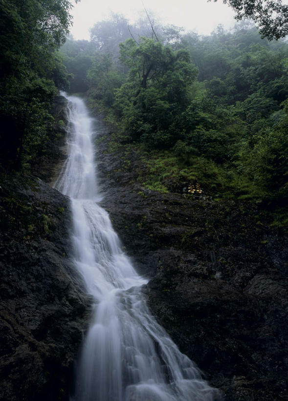 无人,竖图,室外,白天,仰视,旅游,度假,石头,美景,瀑布,山,树林,水,植物,日本,亚洲,飞溅,溅,石子,液体,池塘,景观,山峰,山峦,娱乐,树,树木,绿色,自然,享受,休闲,石壁,景色,放松,大阪,生长,成长,喷洒,自然风光,东亚,本州,大阪府,本州岛,日本国,近畿地方,近畿,跌水,石块,彩图,低角度拍摄