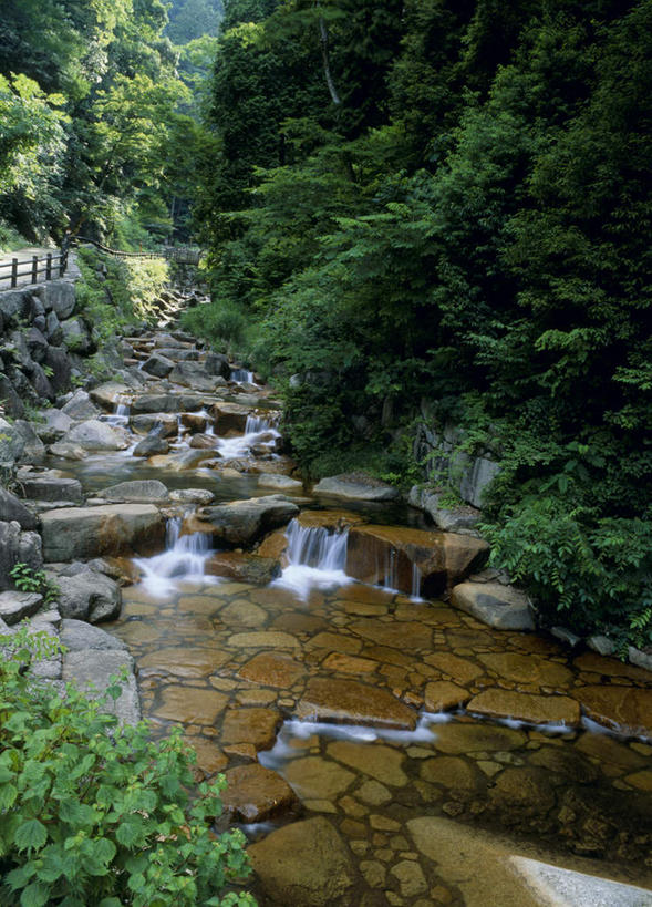 无人,竖图,俯视,室外,白天,旅游,度假,河流,石头,美景,山,树林,水,植物,广岛县,日本,亚洲,石子,河水,景观,山峰,水流,山峦,娱乐,树,树木,绿色,自然,享受,休闲,石壁,景色,放松,生长,成长,自然风光,东亚,本州,本州岛,日本国,広岛,石块,岩石,彩图,高角度拍摄