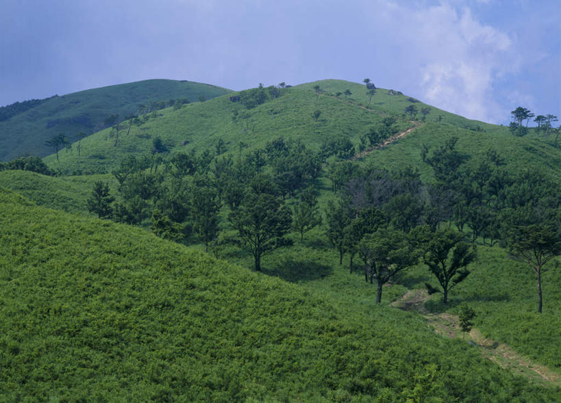 无人,横图,室外,白天,正面,旅游,度假,草地,草坪,美景,山,山脉,树林,植物,广岛县,日本,亚洲,阴影,光线,影子,景观,山峰,云,云朵,山峦,云彩,娱乐,草,树,树木,蓝色,绿色,白云,蓝天,天空,阳光,自然,群山,天,享受,休闲,景色,放松,生长,成长,自然风光,东亚,本州,本州岛,日本国,広岛,彩图