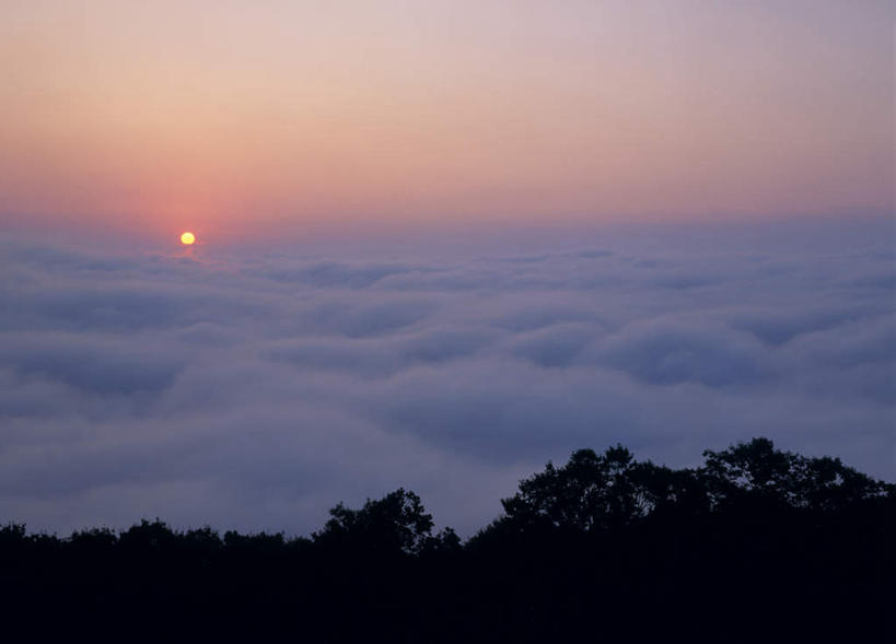 无人,横图,俯视,室外,白天,旅游,度假,日出,美景,树林,太阳,植物,广岛县,日本,亚洲,景观,云,云朵,云海,朝霞,晨曦,黎明,云彩,娱乐,树,树木,绿色,白云,阳光,自然,享受,休闲,景色,放松,生长,成长,自然风光,东亚,本州,本州岛,日本国,広岛,中国地方,朝阳,彩图,高角度拍摄,破晓