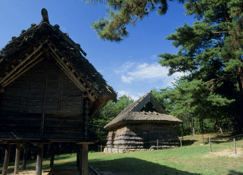 无人,横图,室外,白天,仰视,旅游,度假,草地,草坪,美景,树林,植物,广岛县,日本,亚洲,阴影,光线,影子,房屋,屋子,景观,云,云朵,云彩,娱乐,草,树,树木,蓝色,绿色,白云,蓝天,天空,阳光,自然,天,享受,休闲,景色,放松,生长,成长,自然风光,东亚,本州,本州岛,日本国,広岛,中国地方,彩图,低角度拍摄,房子