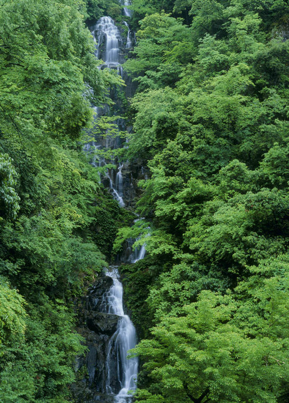 无人,竖图,室外,白天,正面,旅游,度假,河流,美景,山,水,植物,广岛县,日本,亚洲,河水,景观,山峰,水流,山峦,娱乐,树,树木,绿色,小溪,自然,溪水,享受,休闲,景色,放松,生长,成长,自然风光,东亚,本州,本州岛,日本国,広岛,中国地方,彩图