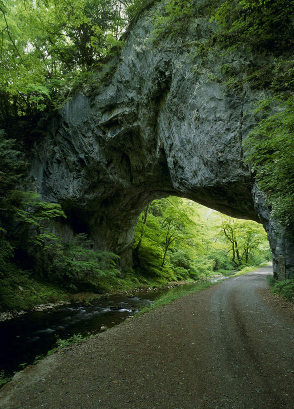 无人,竖图,室外,白天,正面,旅游,度假,草地,草坪,河流,石头,美景,山,水,植物,广岛县,日本,亚洲,石子,河水,景观,山峰,水流,山峦,娱乐,草,树,树木,绿色,小溪,自然,溪水,享受,休闲,景色,放松,生长,成长,自然风光,东亚,本州,本州岛,日本国,広岛,中国地方,石块,岩石,彩图