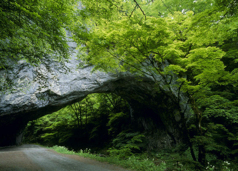 无人,横图,室外,白天,正面,旅游,度假,草地,草坪,河流,石头,美景,山,水,植物,广岛县,日本,亚洲,石子,河水,景观,山峰,水流,山峦,娱乐,草,树,树木,绿色,小溪,自然,溪水,享受,休闲,景色,放松,生长,成长,自然风光,东亚,本州,本州岛,日本国,広岛,中国地方,石块,岩石,彩图