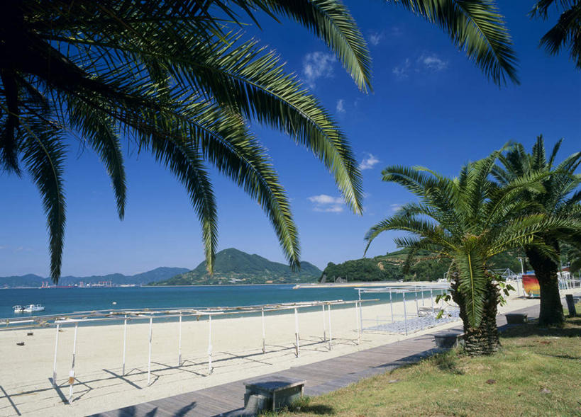 无人,横图,室外,白天,正面,旅游,度假,草地,草坪,海浪,海洋,沙滩,山,植物,棕榈树,叶子,广岛县,日本,亚洲,阴影,光线,沙子,影子,海岸,浪花,山峰,云,云朵,绿叶,沙地,山峦,云彩,娱乐,草,树,树木,蓝色,绿色,白云,蓝天,天空,阳光,自然,海水,天,享受,休闲,嫩叶,放松,生长,成长,海景,东亚,棕榈叶,本州,本州岛,日本国,広岛,中国地方,叶,叶片,大海,风浪,海,海水的波动,海滩,近岸浪,涌浪,彩图