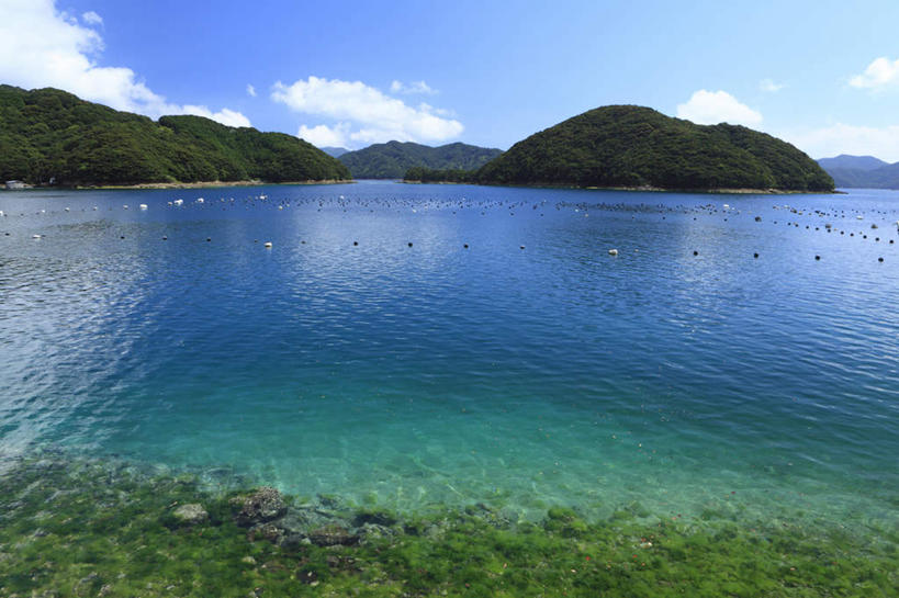 无人,横图,室外,白天,正面,旅游,度假,草地,草坪,海浪,海洋,沙滩,山,山脉,树林,植物,长崎,日本,亚洲,阴影,光线,沙子,影子,海岸,浪花,山峰,云,云朵,沙地,山峦,云彩,娱乐,草,树,树木,蓝色,绿色,白云,蓝天,天空,阳光,自然,海水,群山,天,享受,休闲,放松,生长,成长,海景,东亚,日本国,长崎县,九州本岛,九州,九州岛,九州地方,高浜町,大海,风浪,海,海水的波动,海滩,近岸浪,涌浪,彩图