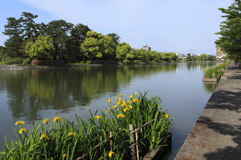 无人,横图,室外,白天,正面,旅游,度假,花海,花圃,河流,树林,水,植物,叶子,日本,亚洲,阴影,盛开,光线,影子,河岸,河水,水流,花蕾,娱乐,花,花瓣,花朵,鲜花,树,树木,黄色,蓝色,绿色,蓝天,天空,阳光,自然,花丛,花束,花田,天,花苞,花蕊,享受,休闲,放松,生长,成长,东亚,护城河,日本国,九州本岛,九州,九州岛,九州地方,彩图