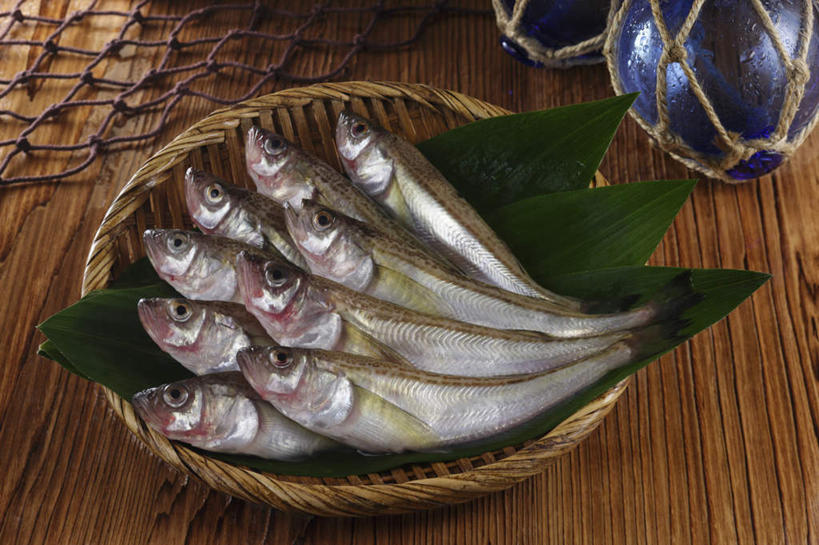 无人,餐厅,横图,俯视,室内,特写,白天,烹饪,餐桌,桌子,叶子,许多,秋刀鱼,日本料理,料理,食品,绿叶,竹扁,菜肴,美食,海洋生物,食物,排列,绿色,紫色,容器,日式料理,日式,嫩叶,浮标,佳肴,竹刀鱼,渔网,竹编,餐台,渔具,刀鱼,队列,抓捕,水生动物,捕捞,鱼网,水生物,海底动物,拉网,捕捞工具,箬叶,芦苇叶,叶,叶片,彩图,高角度拍摄,餐馆,饭店,饭馆