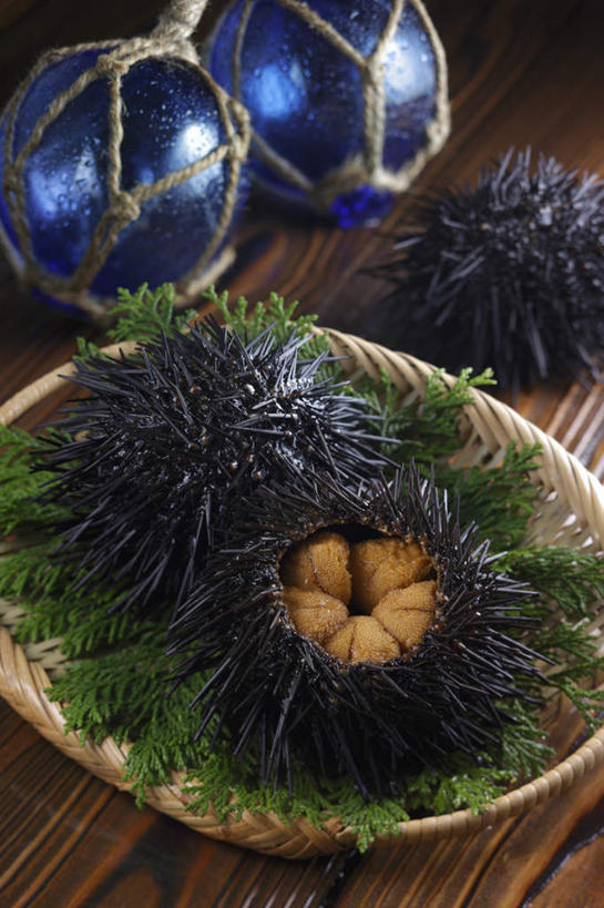 无人,餐厅,竖图,俯视,室内,特写,白天,烹饪,餐桌,桌子,柏树,海胆,叶子,日本料理,料理,食品,绿叶,鱼籽,竹扁,菜肴,美食,海洋生物,食物,两个,蓝色,黑色,日式料理,日式,嫩叶,浮标,佳肴,竹编,餐台,水生动物,水生物,海底动物,叶,叶片,彩图,高角度拍摄,餐馆,饭店,饭馆