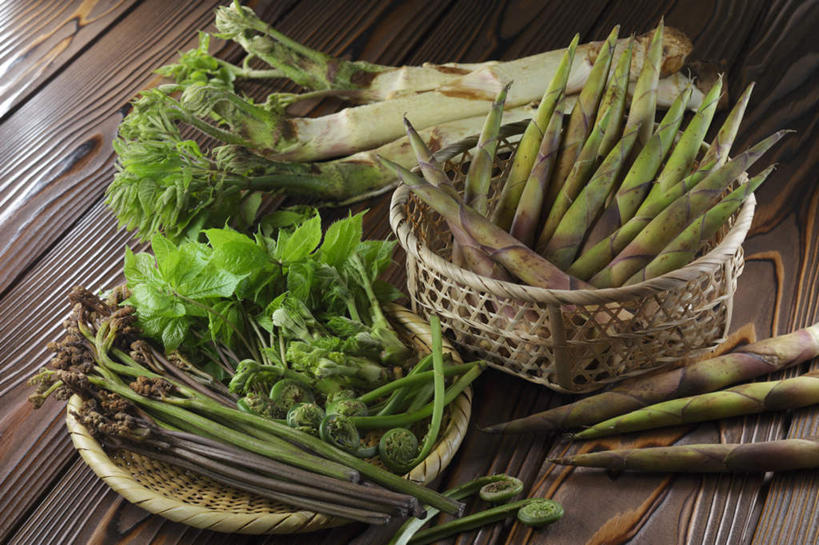 无人,餐厅,横图,俯视,室内,特写,白天,烹饪,餐桌,桌子,蔬菜,一堆,许多,堆叠,堆积,新鲜,篮子,莴苣,莴笋,竹笋,日本料理,料理,食品,蕨菜,竹扁,菜肴,美食,食物,绿色,日式料理,日式,佳肴,有机食品,绿色食品,竹编,餐台,堆,蕨类,香笋,彩图,高角度拍摄,餐馆,饭店,饭馆