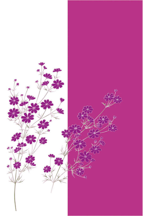 无人,竖图,插画,室内,白天,正面,数码,科技,植物,叶子,阴影,盛开,网络,波斯菊,高光,几何,计算机图形,合成,花蕾,图画,画,花,花瓣,花朵,鲜花,绿色,紫色,花苞,花蕊,大波斯菊,电脑合成图,数码合成图,漫画,写实,具体,具象,彩图