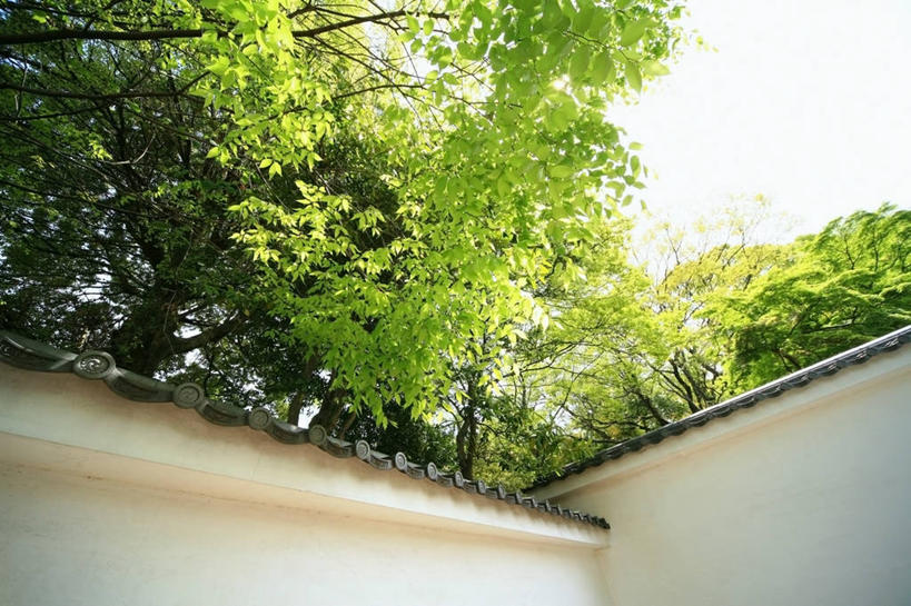 无人,横图,室外,白天,仰视,度假,美景,植物,城市风光,城市,建筑,京都,日本,亚洲,瓦片,墙,屋顶,景观,枝条,顶棚,瓦,娱乐,墙壁,墙面,树,树木,树枝,白色,天空,天,享受,休闲,景色,放松,建造,京都府,东亚,屋瓦,本州,本州岛,日本国,近畿地方,近畿,虬枝,枝杈,彩图,低角度拍摄