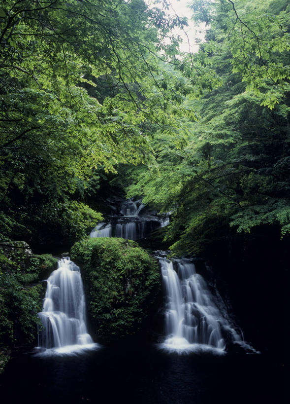 无人,竖图,室外,白天,仰视,旅游,度假,石头,美景,瀑布,森林,树林,水,植物,日本,亚洲,飞溅,溅,石子,液体,景观,水滴,悬崖,娱乐,水珠,树,树木,绿色,自然,享受,休闲,景色,放松,生长,成长,喷洒,自然风光,东亚,本州,三重县,本州岛,日本国,近畿地方,近畿,绝壁,三重,跌水,石块,岩石,彩图,低角度拍摄,赤目四十八瀑,名张市