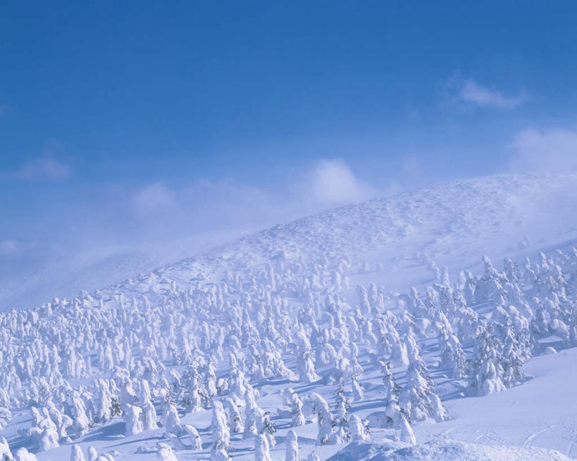 无人,横图,室外,白天,正面,旅游,度假,美景,雪,植物,大雪,日本,亚洲,积雪,景观,雪景,冬天,娱乐,树,树木,自然,享受,休闲,景色,放松,自然风光,东亚,本州,本州岛,日本国,东北地方,山形,山形县,彩图