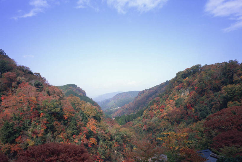 无人,横图,俯视,室外,白天,旅游,度假,美景,森林,山,山脉,树林,植物,叶子,大分县,日本,亚洲,景观,山峰,云,云朵,红叶,绿叶,山峦,云彩,娱乐,树,树木,蓝色,绿色,白云,蓝天,天空,自然,群山,天,享受,休闲,嫩叶,景色,放松,生长,晴朗,成长,自然风光,东亚,日本国,九州本岛,九州,九州岛,九州地方,大分,叶,叶片,晴空,彩图,高角度拍摄