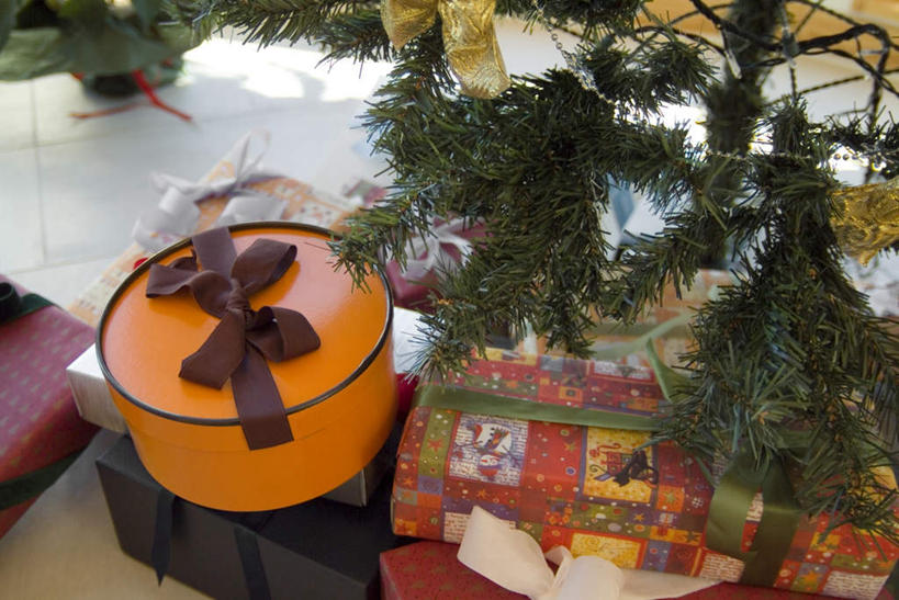 无人,横图,俯视,室内,特写,白天,植物,礼盒,礼物,圣诞节,一堆,堆叠,堆积,节日,庆祝,包装,纸盒,圣诞树,圣诞礼物,文化,绸带,盒子,树,树木,绿色,自然,包装盒,礼品盒,庆典,礼品,生长,成长,纪念,堆,彩图,高角度拍摄