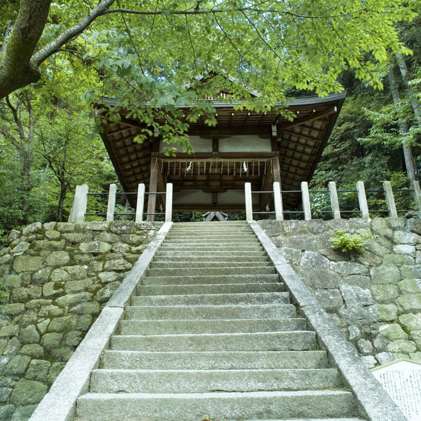 无人,方图,室外,白天,仰视,旅游,度假,森林,树林,植物,楼梯,标志建筑,地标,建筑,京都,日本,亚洲,阶梯,娱乐,建设,台阶,树,树木,绿色,自然,享受,休闲,旅游胜地,放松,京都府,生长,成长,神殿,东亚,本州,本州岛,日本国,近畿地方,靖国神社,近畿,彩图,低角度拍摄