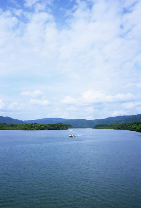 无人,竖图,俯视,室外,白天,旅游,度假,湖,湖泊,美景,树林,水,植物