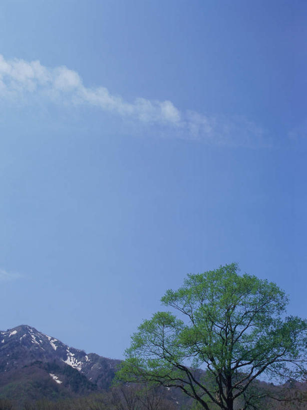 无人,竖图,室外,白天,正面,旅游,度假,石头,美景,森林,山,树林,雪,雪山,植物,大雪,长野县,日本,亚洲,阴影,光线,石子,影子,冰,积雪,景观,山顶,山峰,雪景,云,云朵,冬季,冬天,山峦,云彩,娱乐,树,树木,蓝色,绿色,白云,蓝天,天空,阳光,自然,天,享受,休闲,景色,放松,寒冷,生长,晴朗,成长,冰冷,自然风光,东亚,沉积岩,本州,本州岛,日本国,中部地方,长野,严寒,冰凉,酷寒,凛冽,凛凛,极冷,颠峰,极峰,水成岩,冈谷,石块,岩石,晴空,彩图