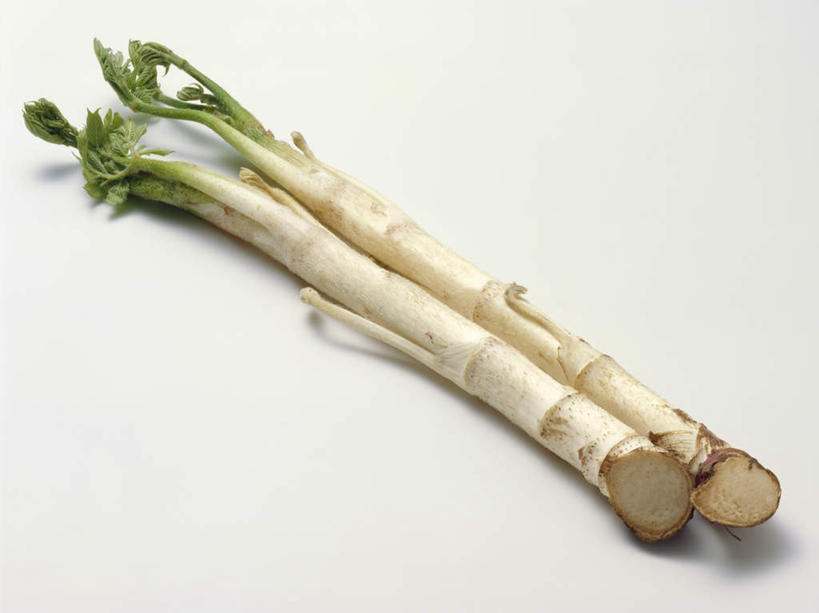 无人,横图,俯视,室内,特写,白天,白色背景,植物,蔬菜,新鲜,食品,草药,药草,中药,食物,摄影,有机食品,绿色食品,影棚,药材,中草药,中药材,本草,土当归,彩图,高角度拍摄,影棚拍摄,拍摄