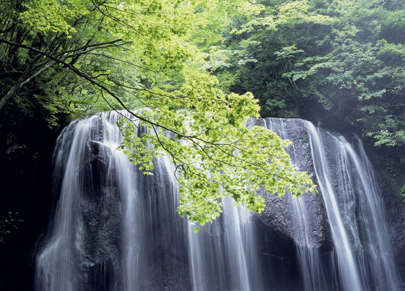 无人,横图,室外,白天,正面,旅游,度假,美景,瀑布,水,叶子,日本,亚洲,飞溅,溅,液体,景观,绿叶,娱乐,自然,享受,休闲,嫩叶,景色,放松,喷洒,自然风光,东亚,本州,本州岛,日本国,东北地方,福岛,福岛县,叶,叶片,跌水,彩图