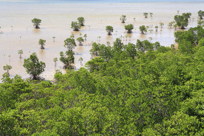 无人,横图,俯视,航拍,室外,白天,旅游,度假,草地,草坪,湖,湖泊,美景,水,植物,日本,亚洲,湖面,景观,水流,水面,娱乐,冲绳,草,绿色,自然,湖水,享受,休闲,景色,放松,冲绳县,鸟瞰,自然风光,东亚,琉球群岛,日本国,九州地方,彩图,高角度拍摄