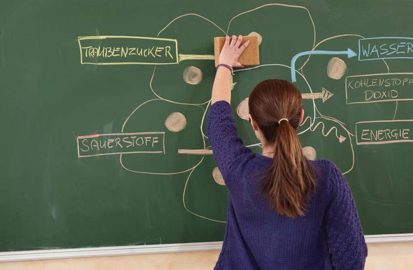 西方人,儿童,一个人,站,举,横图,室内,白天,纯洁,欧洲,欧洲人,仅一个女性,仅一个人,擦,握,服装,拿,拿着,休闲装,小孩,背面,衣服,紫色,黑板擦,黑板,托,站着,仅一个小孩,休闲,教室,休闲服,可爱,童年,童趣,教学,握着,服饰,课堂,童真,烂漫,无邪,耐磨,教学黑板,板书,粉笔擦,天真,女孩,女人,女性,白种人,孩子,举起,举手,举着,向上举,向上伸,向上托,站立,半身,彩图,女生