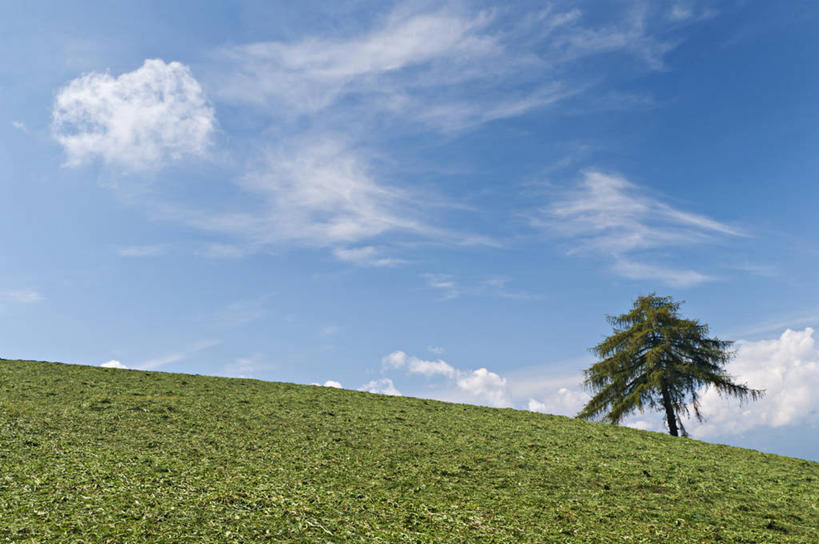 无人,横图,室外,白天,正面,旅游,度假,草地,草坪,美景,植物,意大利,欧洲,一棵,阴影,光线,影子,地平线,景观,云,云朵,辽阔,地面,云彩,娱乐,草,树,树木,蓝色,绿色,白云,蓝天,天空,阳光,自然,天,享受,休闲,广阔,景色,放松,生长,晴朗,成长,一望无际,南欧,自然风光,延伸,意大利共和国,天地相交,无边无际,一马平川,南蒂罗尔,晴空,彩图