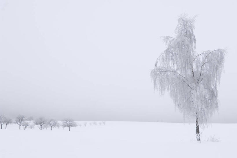 无人,横图,室外,白天,正面,旅游,度假,美景,雪,植物,雾,大雪,德国,欧洲,朦胧,模糊,积雪,景观,雪景,冬季,冬天,娱乐,树,树木,绿色,自然,享受,休闲,景色,放松,寒冷,白桦,生长,成长,迷雾,西欧,自然风光,德意志联邦共和国,严寒,巴伐利亚,巴伐利亚州,拜恩州,拜恩自由州,施瓦本行政区,大雾,桦树,桦皮树,桦木,彩图