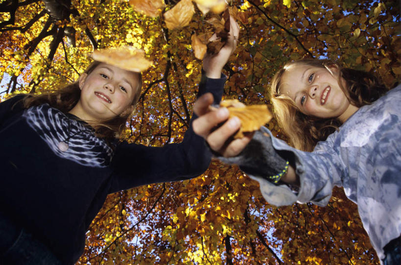 西方人,儿童,两个人,家庭,伙伴,朋友,站,伸展双臂,横图,室外,白天,仰视,旅游,度假,友谊,纯洁,秋季,叶子,欧洲,欧洲人,弯腰,服装,枯叶,落叶,注视,休闲装,娱乐,小孩,衣服,观察,看,站着,享受,休闲,温暖,温馨,一家人,休闲服,放松,可爱,童年,童趣,服饰,观看,和睦,察看,关注,童真,烂漫,无邪,天真,友情,女孩,女人,女性,白种人,叶,叶片,秋,秋天,敞开双臂,伸开双臂,玩耍,展开双肩,站立,张开手臂,张开双臂,半身,彩图,低角度拍摄,融洽,女生