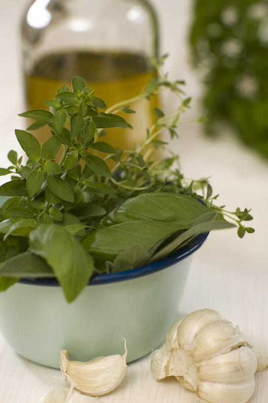 无人,家庭,竖图,俯视,室内,特写,白天,白色背景,智慧,植物,蔬菜,蒜,阴影,朦胧,模糊,新鲜,反射,盆栽,影子,调味,香料,油,佐料,橄榄油,食品,草药,盆景,中药,玻璃制品,食物,绿色,自然,玻璃瓶,瓶子,香草,摄影,有机食品,绿色食品,影棚,生长,成长,罗勒,鼠尾草,配料,紫苏,药材,中草药,九层塔,圣约瑟夫草,甜罗勒,兰香,中药材,本草,作料,理性,小蒜,大蒜,彩图,高角度拍摄,影棚拍摄,拍摄