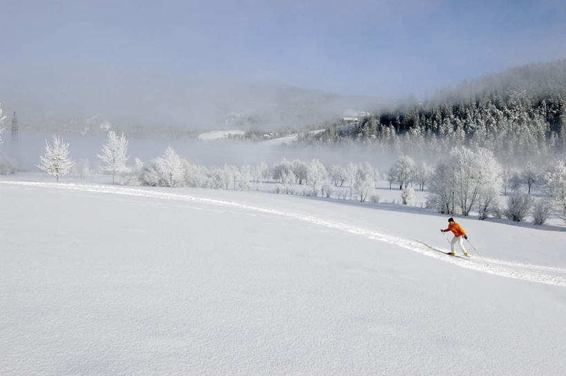西方人,一个人,横图,室外,白天,侧面,锻炼,运动,雪,大雪,欧洲,欧洲人,仅一个女性,仅一个人,阴影,服装,光线,滑雪,工具,器材,影子,积雪,雪景,冬天,注视,休闲装,运动器械,衣服,蓝天,天空,阳光,天,观察,看,仅一个中年女性,休闲,休闲服,器械,健身器械,服饰,拐杖,观看,滑雪杖,察看,关注,健身器材,滑雪装备,辅助设备,体育,女人,女性,中年女性,白种人,彩图,全身,健身,运动器材