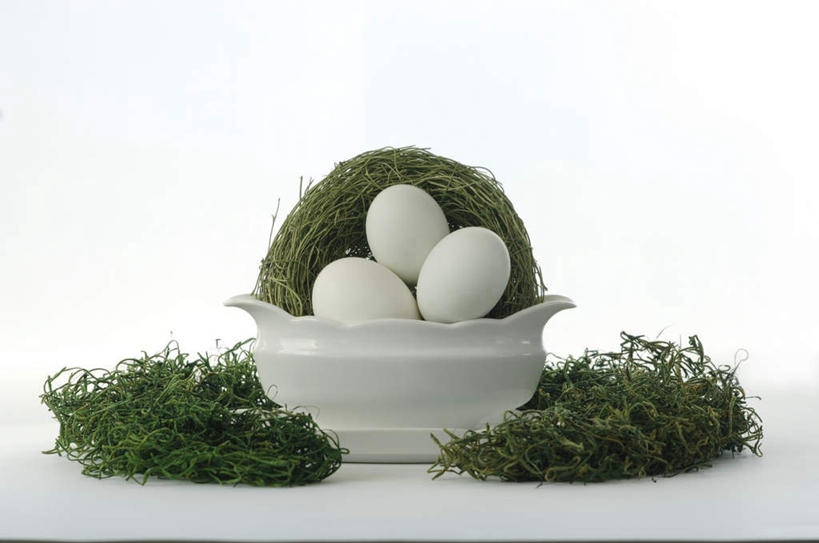 无人,横图,室内,特写,白天,白色背景,正面,草地,草坪,植物,复活节,节日,庆祝,陶瓷,蛋,陶瓷制品,文化,草,三个,一个,绿色,白色,容器,碗,庆典,摄影,影棚,单个,纪念,储藏,储存,彩蛋,复活节彩蛋,彩图,影棚拍摄,拍摄,贮存