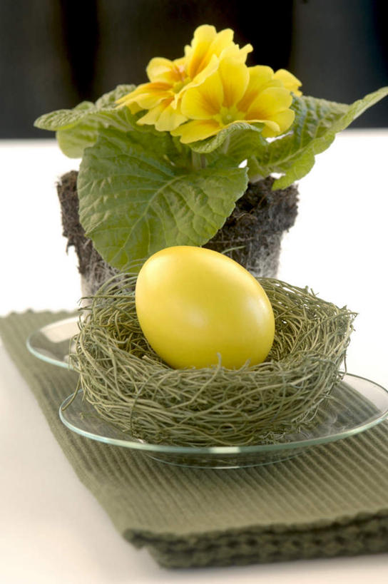 无人,竖图,俯视,室内,特写,白天,植物,餐具,叶子,复活节,阴影,节日,庆祝,盛开,反射,碟子,盘,盆栽,影子,蛋,绿叶,盆景,花蕾,文化,草,花,花瓣,花朵,鲜花,一个,黄色,绿色,自然,盘子,餐巾,碟,花苞,花蕊,庆典,嫩叶,摄影,影棚,生长,单个,成长,纪念,彩蛋,复活节彩蛋,叶,叶片,彩图,高角度拍摄,影棚拍摄,拍摄