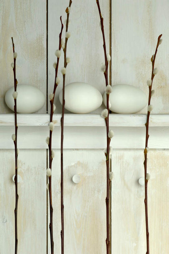 无人,竖图,室内,特写,白天,正面,植物,复活节,一排,节日,庆祝,整齐,木制,钉子,墙,蛋,枝条,文化,墙壁,墙面,树,树木,树枝,排列,三个,白色,木制品,庆典,纪念,五金,紧固,队列,彩蛋,复活节彩蛋,牢固,虬枝,枝杈,彩图,稳固