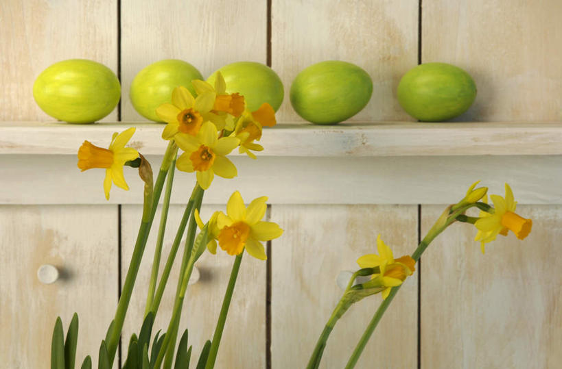 无人,横图,室内,特写,白天,正面,爱情,陶醉,水仙花,复活节,五个,一排,节日,庆祝,整齐,盛开,木制,墙,蛋,花蕾,文化,墙壁,墙面,花,花瓣,花朵,鲜花,排列,绿色,木制品,花苞,花蕊,庆典,纪念,队列,记忆,彩蛋,复活节彩蛋,金盏银台,玉玲珑,女史花,雅蒜,天蒜,敬意,自恋,凌波仙子,水仙,天葱,彩图