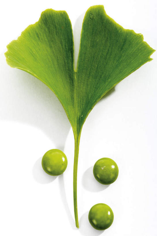 无人,竖图,俯视,室内,特写,白天,白色背景,安全,植物,叶子,药剂,药丸,草药,药草,防护,三颗,药片,中药,树叶,绿色,药品,银杏叶,治疗,摄影,影棚,保护,药物,医疗,药材,中草药,保险,预防,中药材,本草,白果叶,平安,叶片,彩图,高角度拍摄,影棚拍摄,拍摄