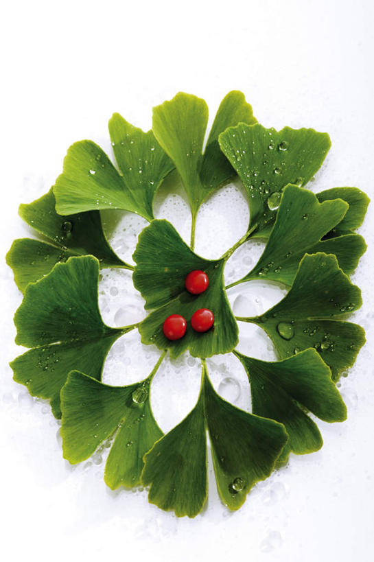 无人,竖图,俯视,室内,特写,白天,白色背景,安全,水,植物,叶子,许多,环绕,围绕,药剂,药丸,液体,水滴,草药,药草,防护,很多,三颗,环抱,药片,中药,树叶,红色,绿色,药品,银杏叶,治疗,摄影,影棚,保护,药物,医疗,药材,中草药,保险,预防,中药材,本草,白果叶,萦绕,平安,叶片,彩图,高角度拍摄,影棚拍摄,拍摄