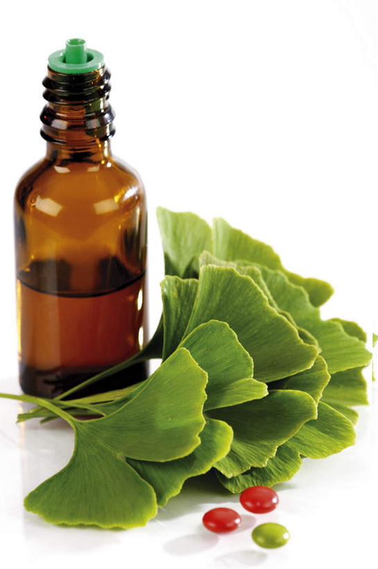 无人,竖图,俯视,室内,特写,白天,白色背景,安全,植物,叶子,许多,罐子,药剂,药丸,草药,药草,防护,很多,药片,中药,玻璃制品,树叶,一个,红色,绿色,玻璃瓶,瓶子,药品,银杏叶,治疗,摄影,影棚,单个,保护,药物,医疗,药材,中草药,保险,预防,中药材,本草,白果叶,平安,叶片,彩图,高角度拍摄,影棚拍摄,拍摄