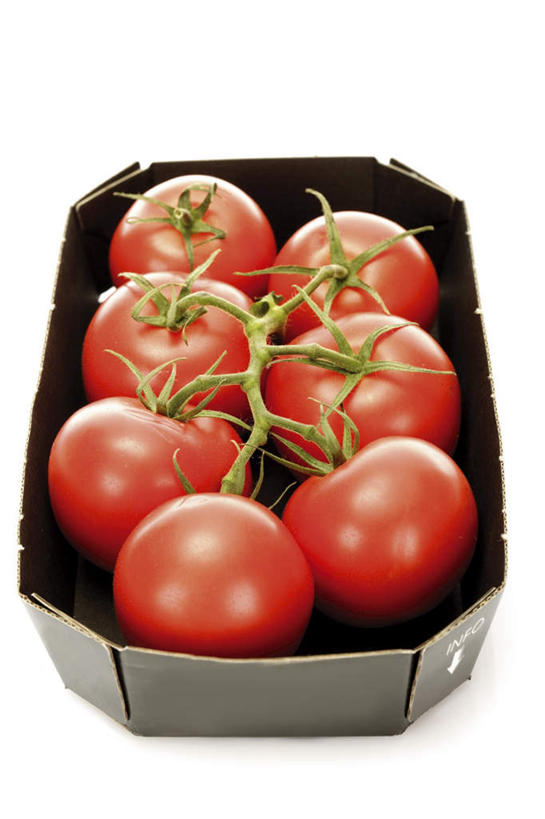 无人,竖图,俯视,室内,特写,白天,白色背景,餐桌,桌子,蔬菜,西红柿,一排,许多,阴影,新鲜,反射,影子,纸盒,食品,盒子,食物,排列,一个,红色,包装盒,摄影,有机食品,绿色食品,影棚,单个,餐台,队列,番茄,彩图,高角度拍摄,影棚拍摄,拍摄