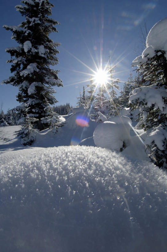 无人,竖图,室外,白天,正面,旅游,度假,美景,森林,山,树林,雪,雪山,植物,大雪,奥地利,欧洲,阴影,光线,影子,冰,积雪,景观,山峰,雪景,冬季,冬天,山峦,娱乐,树,树木,蓝色,绿色,蓝天,天空,阳光,自然,天,享受,休闲,景色,放松,寒冷,生长,晴朗,成长,冰冷,自然风光,中欧,万里无云,首府,萨尔斯堡,严寒,奥地利共和国,冰凉,酷寒,凛冽,凛凛,极冷,萨尔茨堡,萨尔茨堡州,晴空,晴空万里,彩图