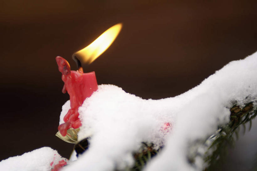 无人,横图,俯视,室外,特写,白天,雪,植物,大雪,蜡烛,圣诞节,阴影,节日,朦胧,模糊,庆祝,光线,火焰,影子,烛光,积雪,雪景,冬季,冬天,圣诞树,燃烧,文化,树,树木,绿色,自然,点燃,庆典,寒冷,生长,成长,纪念,严寒,彩图,高角度拍摄