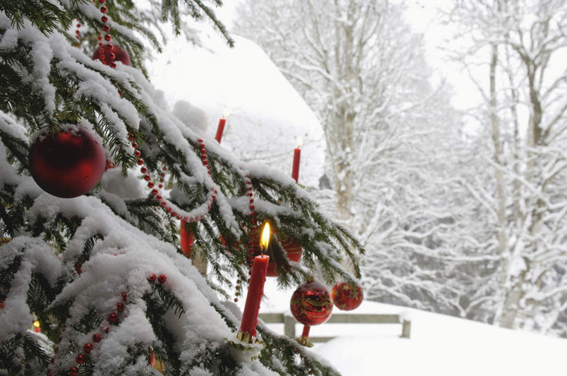 无人,横图,室外,白天,正面,雪,植物,大雪,蜡烛,阴影,装饰,光线,挂饰,火焰,影子,烛光,积雪,雪景,冬季,冬天,圣诞树,圣诞球,燃烧,球,树,树木,绿色,自然,点燃,球体,寒冷,生长,成长,华丽,修饰,点缀,衬托,美观,雅致,雅观,严寒,彩图