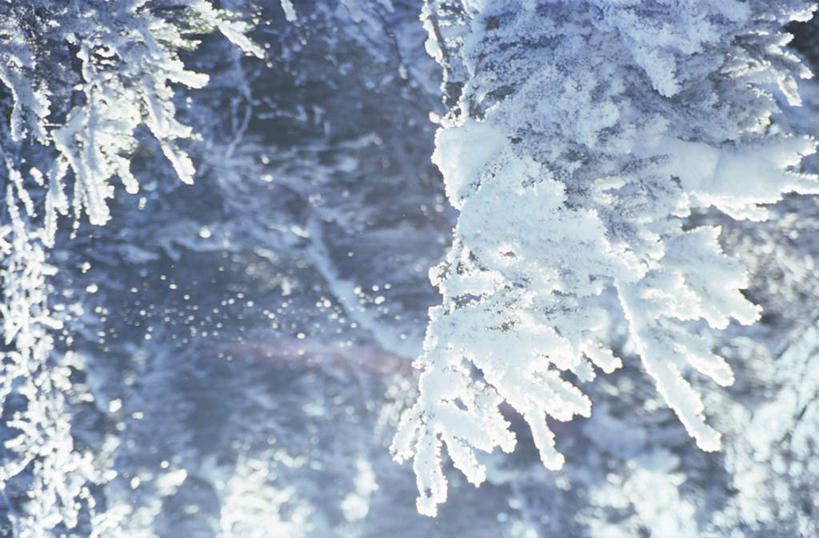 无人,横图,俯视,室外,白天,旅游,度假,美景,森林,树林,雪,植物,大雪,松树,积雪,景观,雪景,冬季,冬天,娱乐,树,树木,绿色,自然,享受,休闲,景色,放松,寒冷,生长,成长,冰冷,自然风光,坚定,长寿,严寒,冰凉,酷寒,凛冽,凛凛,贞洁,极冷,彩图,高角度拍摄