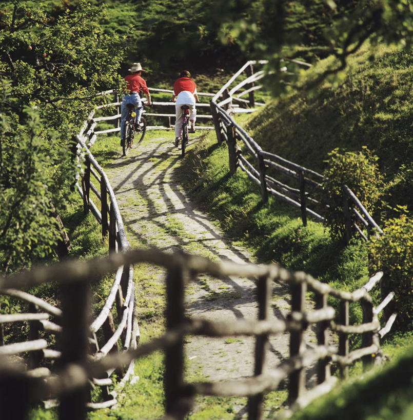 西方人,两个人,栏杆,坐,竖图,室外,白天,爱情,旅游,度假,草地,草坪,美景,植物,道路,路,自行车,帽子,欧洲,欧洲人,阴影,服装,曲折,弯曲,光线,草帽,影子,栅栏,景观,篱笆,围栏,小路,交通,浪漫,休闲装,娱乐,护栏,车,脚踏车,草,树,树木,骑,背面,衣服,绿色,阳光,自然,交通工具,骑车,享受,休闲,温暖,温馨,休闲服,景色,恩爱,放松,恋人,服饰,蜿蜒,乡间小路,生长,成长,和睦,自然风光,载具,男人,男性,女人,女性,中年男性,中年女性,白种人,情侣,坐着,彩图,全身,伴侣,融洽